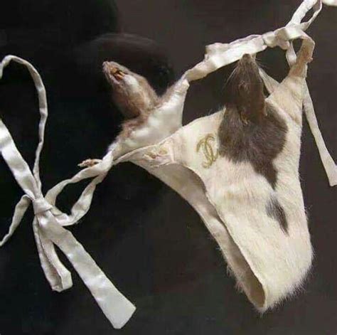 chanel rat underwear|Vintage Chanel Lingerie .